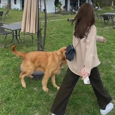 玉氏夫人传 封面